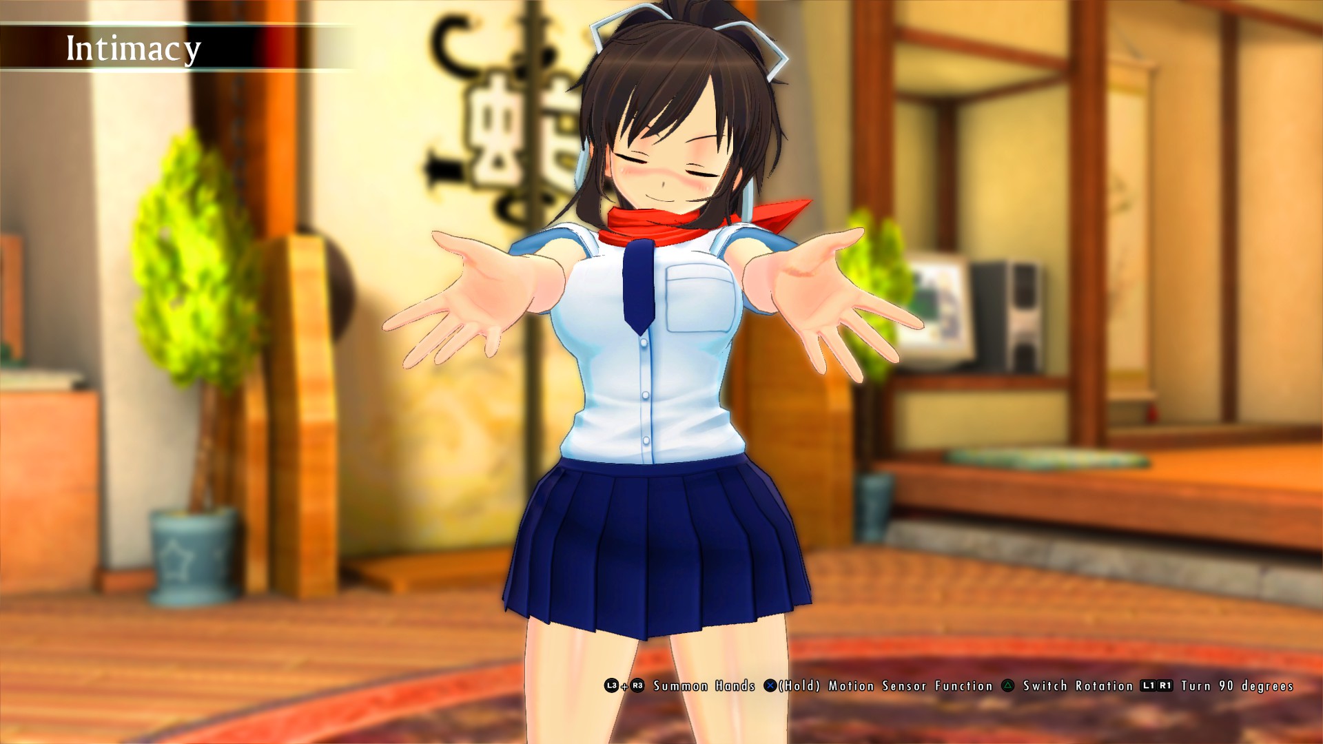 Senran Kagura Burst ReNewal IM 1.jpg