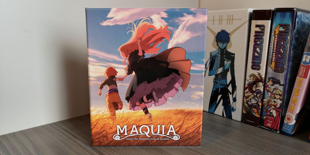 CollectionHaulJanuary2020-03