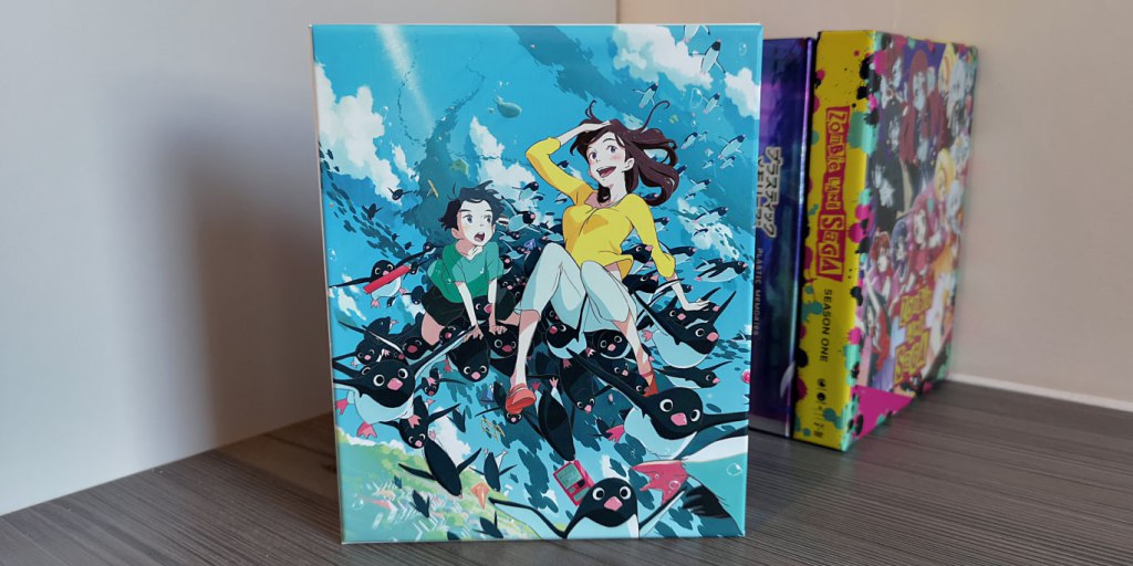 CollectionHaulFebruary2020-11